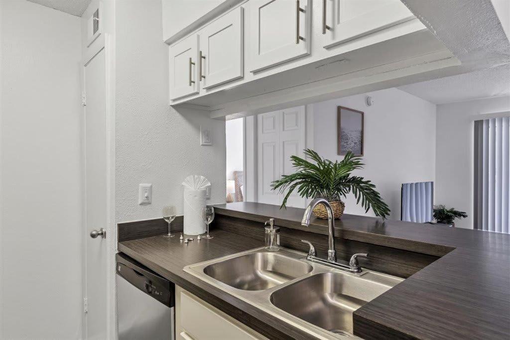 Special Apartment 1Br With Gym And Parking ブレーデントン エクステリア 写真